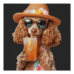 Póster Poodle