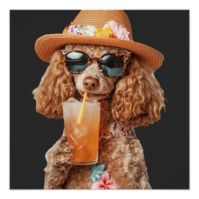 Póster Poodle (Frente)