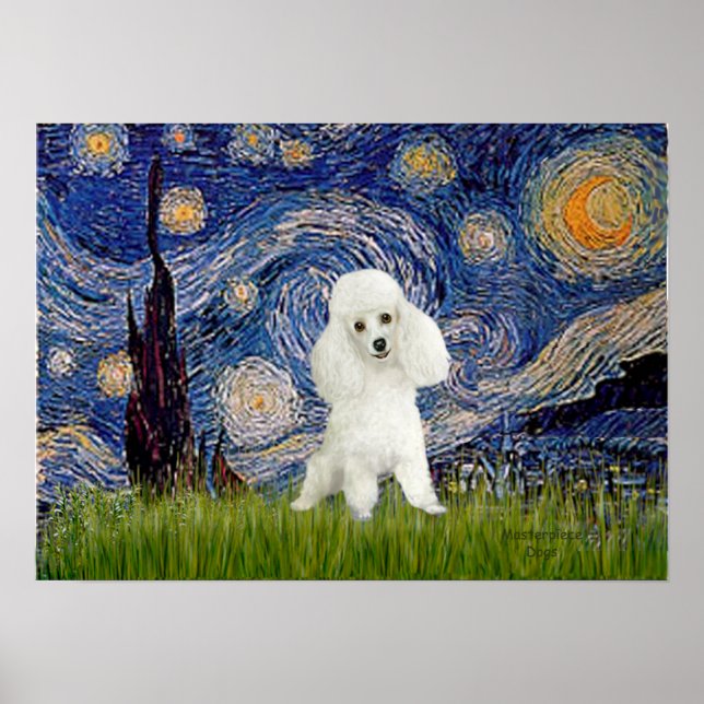 Póster Poodle (14W) - Noite Estrelada (Frente)