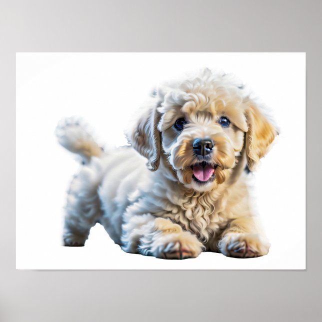 Poster Poodle adorável (Frente)