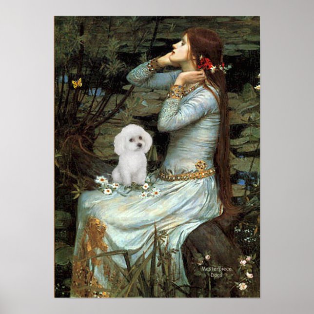 Póster Poodle (Brinquedo Branco) - Ophelia Seated (Frente)