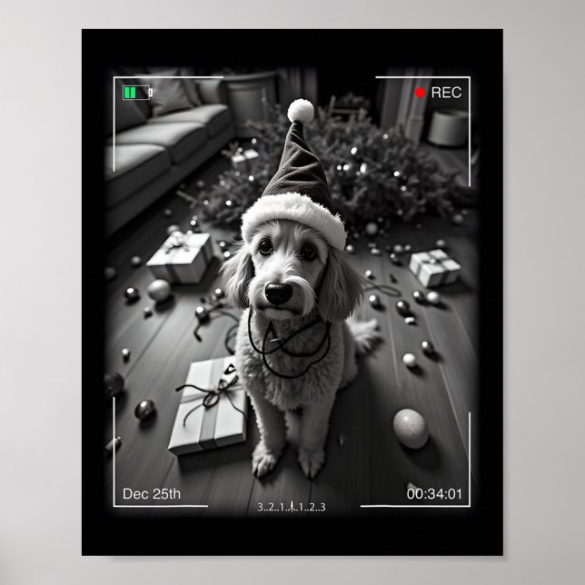 Poster Poodle de Natal Flagrado pela Câmera  (Frente)