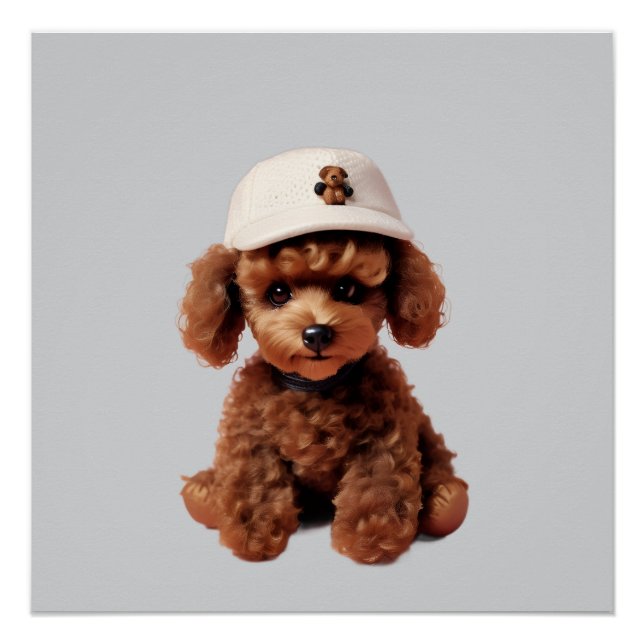 Póster Poodle de Xícara com Chapéu (Frente)