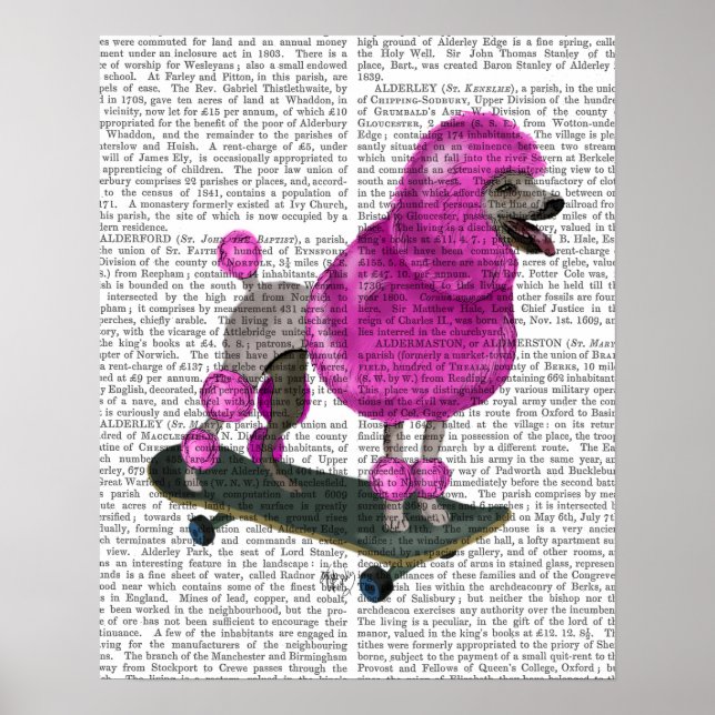 Póster Poodle e skate cor-de-rosa (Frente)