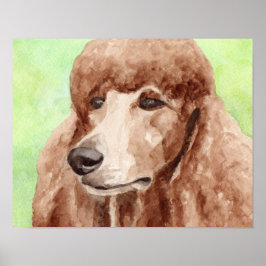 Poster Poodle em Aquarela