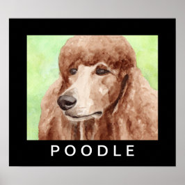Poster Poodle em Aquarela