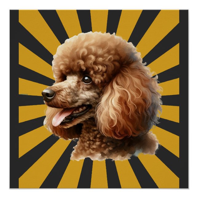 Póster Poodle Padrão Marrom Retro Sunburst (Frente)