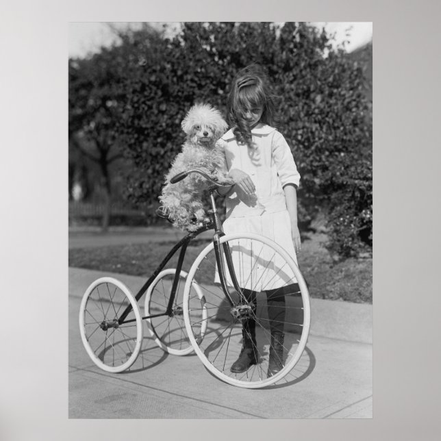 Póster Poodle Perch, 1913 (Frente)