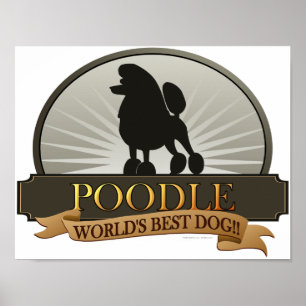 Poster Poodle.png