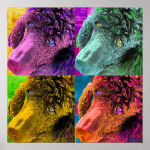 Póster Poodle Pop Art Colorir Estilo