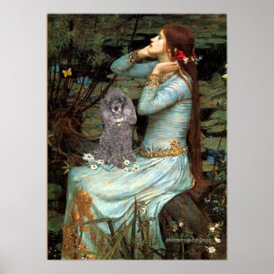 Poster Poodle (Prata 8) - Seada De Ofelia