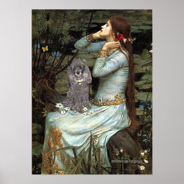 Poster Poodle (Prata 8) - Seada De Ofelia (Frente)