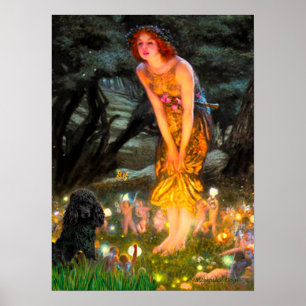 Poster Poodle(preto 1)-MidEve