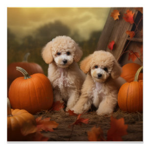 Póster Poodle Puppy Autumn Delight Pumpkin