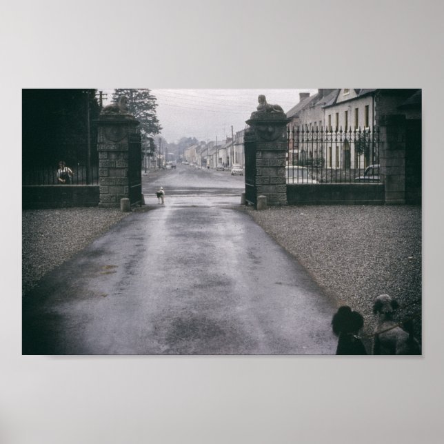 Poster Poodles Vintage Inspirou Poodle Dog (Frente)