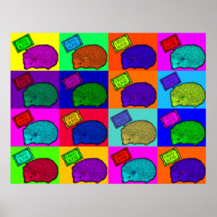 Póster Pop art colorido Popart do ouriço livre dos