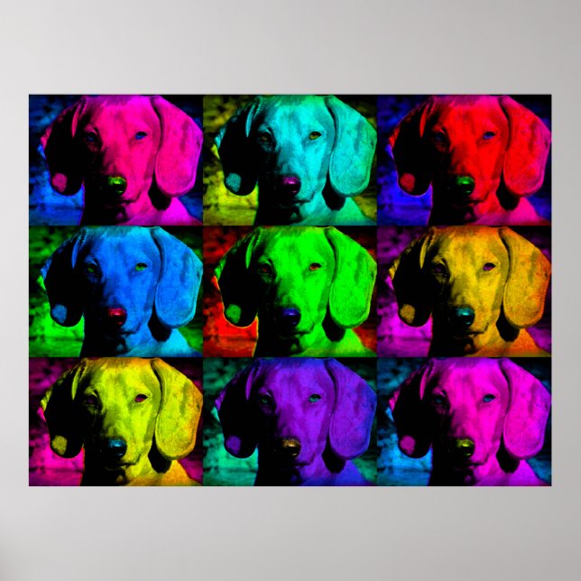 Poster Pop Art Dachshund Doxie Cara Doce Olhos Coloridos (Frente)