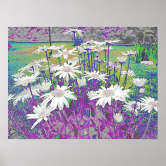 Poster Pop Art Daisies