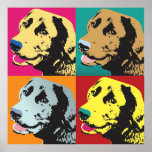 Poster Pop Art Labrador Retriever<br><div class="desc">Um sorridente cão labrador recuperador no estilo icônico Pop Art.</div>