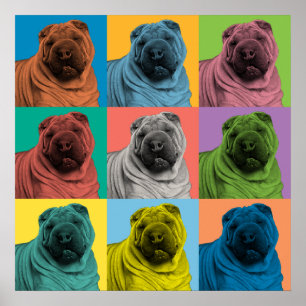 Poster Pop de Arte Chinesa Shar-Pei