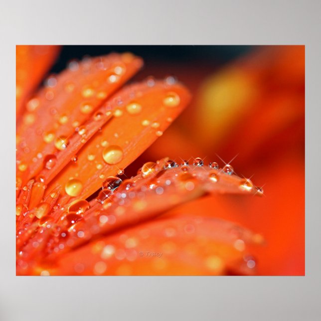 Póster Pop laranja (Frente)