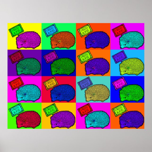 Póster Popart de Pop Colorida Free Hugs Hedgehog (Frente)