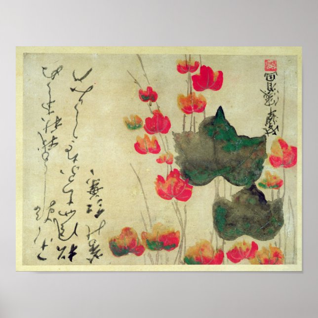 Póster Poppies (Frente)