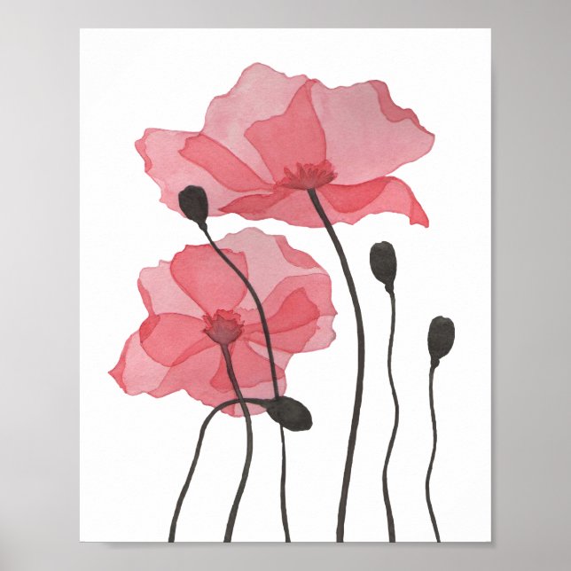 Poster Poppies (Frente)