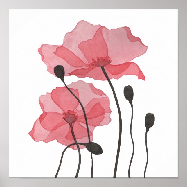 Poster Poppies (Frente)