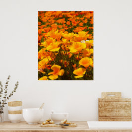 Poster Poppies da Califórnia | Beleza da Primavera