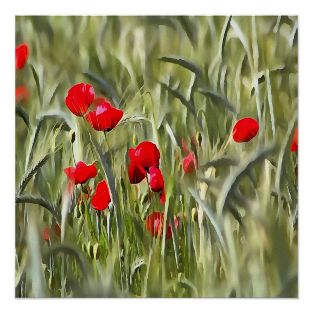 Póster Poppies de Milho (Frente)