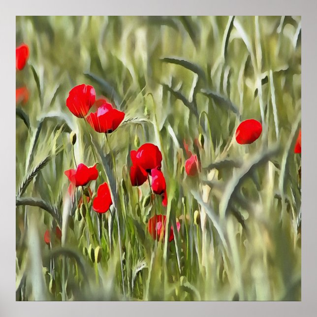 Poster Poppies de Milho (Frente)
