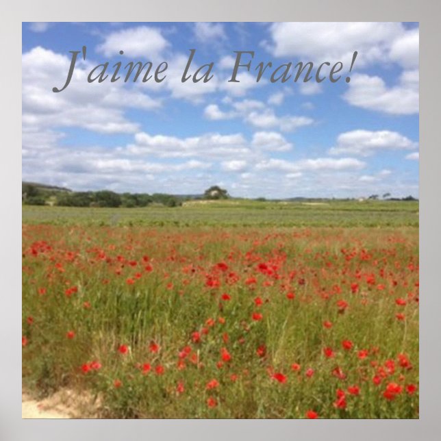 Póster Poppies franceses no sul da França (Frente)