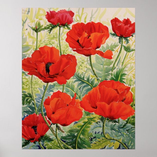 Póster Poppies Vermelhos Grandes (Frente)