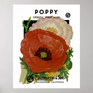 Poster Poppy