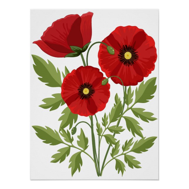 Póster Poppy alegre Flores de Verão (Frente)
