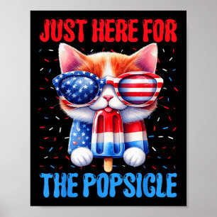 Poster Popsicha 4 De Julho Cat Usa Patriota Americana