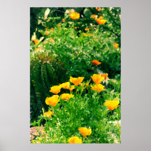 Poster popzzz