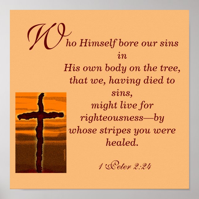 Poster Por cujas tiras você foi curado (Frente)