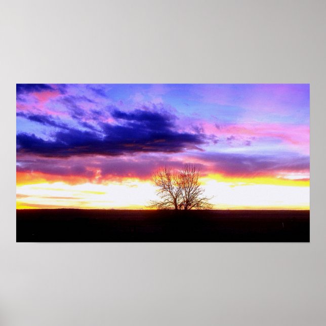 Póster Pôr do sol além da Árvore_ (Frente)