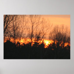 Poster Por do sol atrás das árvores