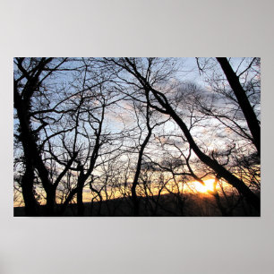 Poster Pôr do sol atrás das árvores
