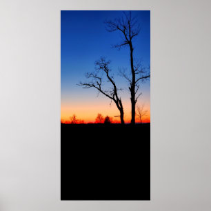 Poster Pôr do Sol Através das Árvores