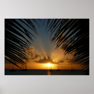 Poster Pôr do Sol Através de Folhas de Palmeira Paisagem