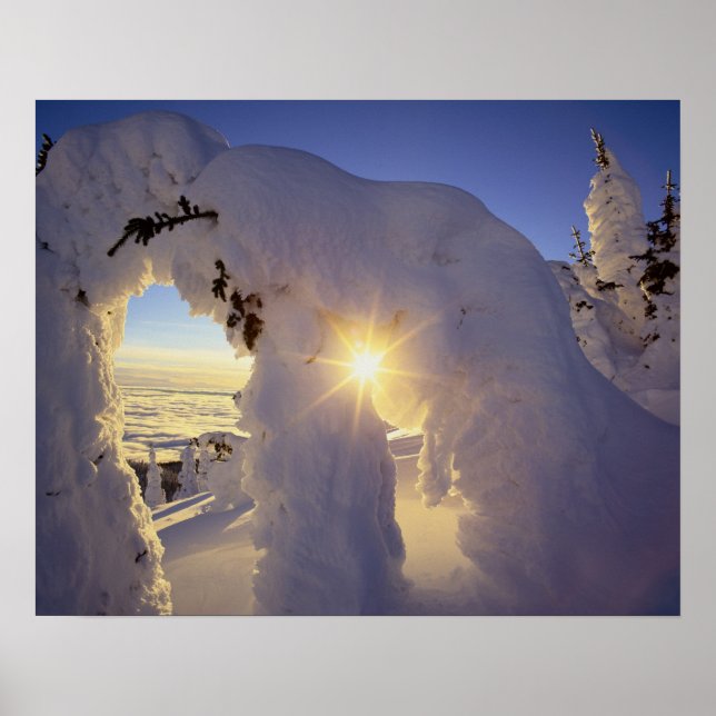 Póster Pôr do sol através dos Snowghosts em Big Mountain  (Frente)