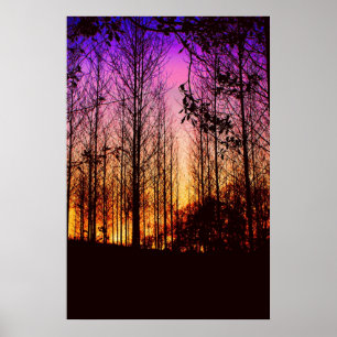 Póster por do sol com a cor das árvores mudada
