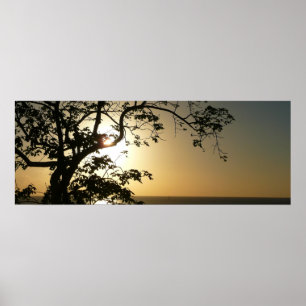 Poster Por do sol com a fotografia tropical das árvores