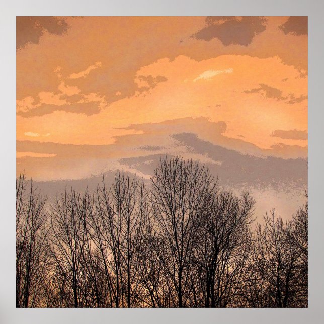 Póster Pôr do sol com árvores nuas (Frente)