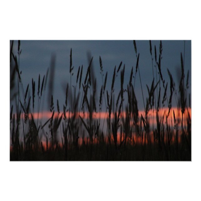 Póster Pôr do sol de cultivo (Frente)
