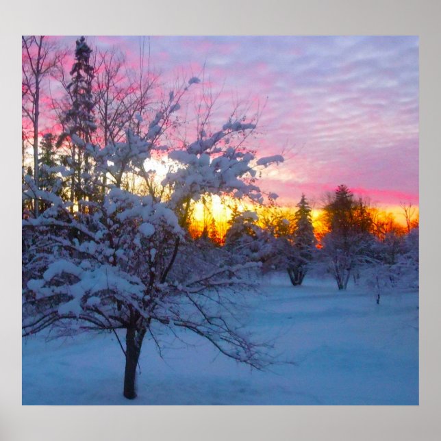 Poster Pôr do Sol de Inverno (Frente)